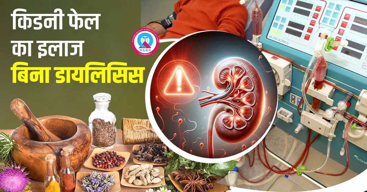 किडनी-फेल-का-इलाज-बिना-डायलिसिस